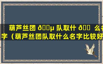 葫芦丝团 🌵 队取什 🐠 么名字（葫芦丝团队取什么名字比较好听）